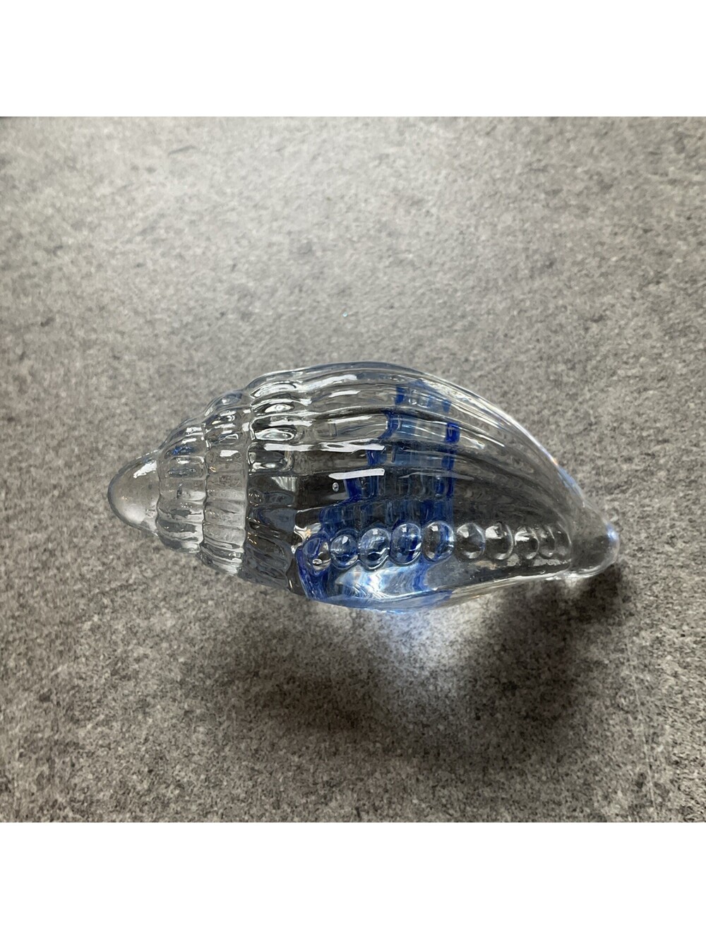 Clear Glass 4.5” Conch Sea Shell With Cobalt Blue Center Paperweight BEAUTIFUL